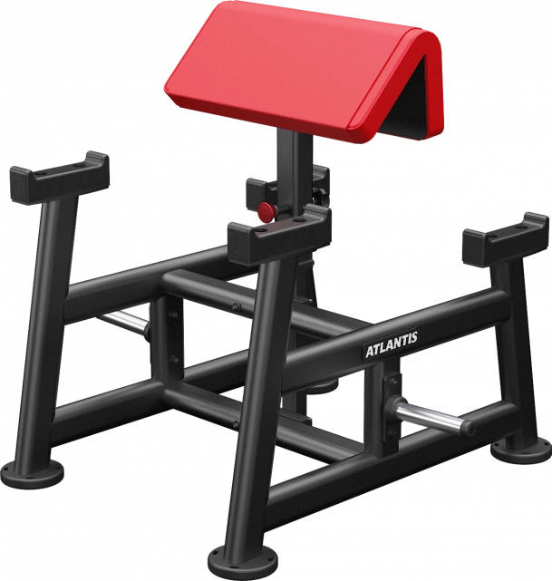 Atlantis Standing Preacher Curl